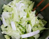 マクロビ☆白菜トマトの豆乳チーズサラダ作り方1写真