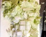 白菜と大葉（青しそ）の塩もみサラダ作り方4写真