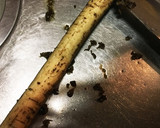 我が家のごぼうとにんじんのきんぴら炒め煮作り方1写真
