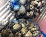 サルボ貝の佃煮作り方3写真