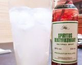 ざくろ酒ースピリタスで作る果実酒作り方5写真
