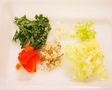 わんこ飯♪鹿肉の水餃子スープ作り方2写真