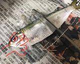 わち（ままかり）の甘酢漬け作り方4写真