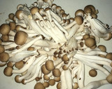 簡単もう一品♪春菊ときのこソーセージ炒め作り方4写真