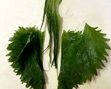 白菜と大葉（青しそ）の塩もみサラダ作り方8写真
