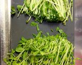 豆苗の豚バラ巻き！作り方1写真