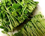 もやしと豆苗の和え物作り方3写真