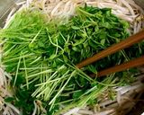 もやしと豆苗の和え物作り方5写真