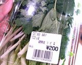 春の香り～♪　うど菜の白和え作り方1写真