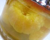 伊予柑のお酒作り方6写真