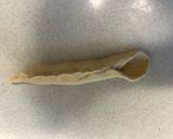 りんごベーグル作り方7写真