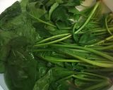 マジカルほうれん草作り方1写真