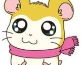 とっとこハム太郎『マフラーちゃん』弁当♡作り方1写真
