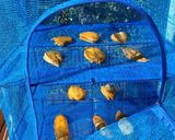 トロける干し芋 ♪作り方6写真
