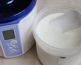 ガゼリ菌SP株と牛乳でヨーグルト作り方3写真