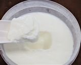 ガゼリ菌SP株と牛乳でヨーグルト作り方6写真