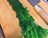 マジカルほうれん草作り方3写真