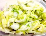 シンプルな白菜の漬物作り方5写真