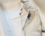 雄生鮭でトバを作る作り方6写真