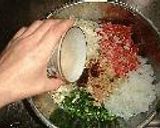 餃子（羽付き）作り方2写真