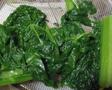 簡単に作れる「かつお菜の胡麻あえ」作り方3写真