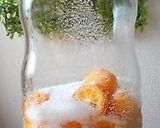 種を氣にせず食べられる 金柑の砂糖漬け作り方7写真
