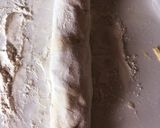 30分で完成！？不思議パンのカレーエピ作り方8写真