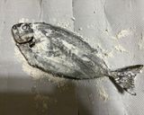 アイゴのムニエル作り方6写真