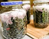 美肌や老化防止に♪桑の実のブランデー漬け作り方4写真