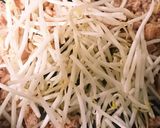 ツナと野菜の春巻き作り方4写真