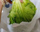 プリーツレタスの長期保存作り方3写真