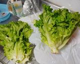 プリーツレタスの長期保存作り方7写真