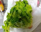 プリーツレタスの長期保存作り方8写真