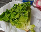 プリーツレタスの長期保存作り方9写真