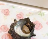 簡単＊時短！おうち割烹＊サザエのお刺身作り方1写真