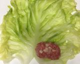 ストウブで本格ロールキャベツ作り方6写真