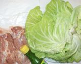 鶏肉キャベツのさっぱり炒め♪簡単作り方1写真