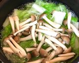 ミートボールと白菜のミルクスープ作り方3写真