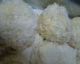 いつでも作れる！簡単♪ハムチーコロッケ作り方6写真