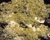 簡単！美味しい！鯖の香草パン粉焼き♡作り方3写真