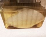 巨大なカブお漬物☆聖護院カブべったら漬け作り方9写真