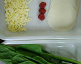 薫る♥ほうれん草と梅チーズの揚げ餃子作り方1写真