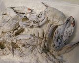 ワタリガニの唐揚げ。作り方2写真