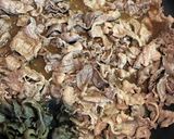 あったか具沢山!肉豆腐作り方10写真
