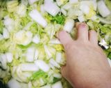 無限白菜！病みつき！白菜の中華風和え作り方2写真