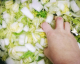 無限白菜！病みつき！白菜の中華風和え作り方2写真