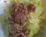 失敗しようがないキャベツと豚肉の中華炒め作り方8写真