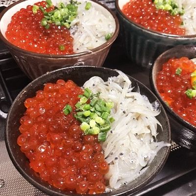 しらすといくら しらすといくら 瀬戸内産 生冷 シラス 100g ( しらす / 個食パック