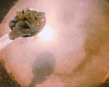 ワカメとワンタンの皮の簡単！卵のスープ作り方2写真