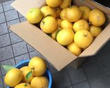 スッパイ(*_*)夏みかんのドレッシング作り方1写真